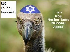 Breaking News: Israeli vulture accused of spying cleared of all charges!